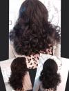 Glamour Lady Style Salon Hairstyle by Ramona Mitroi