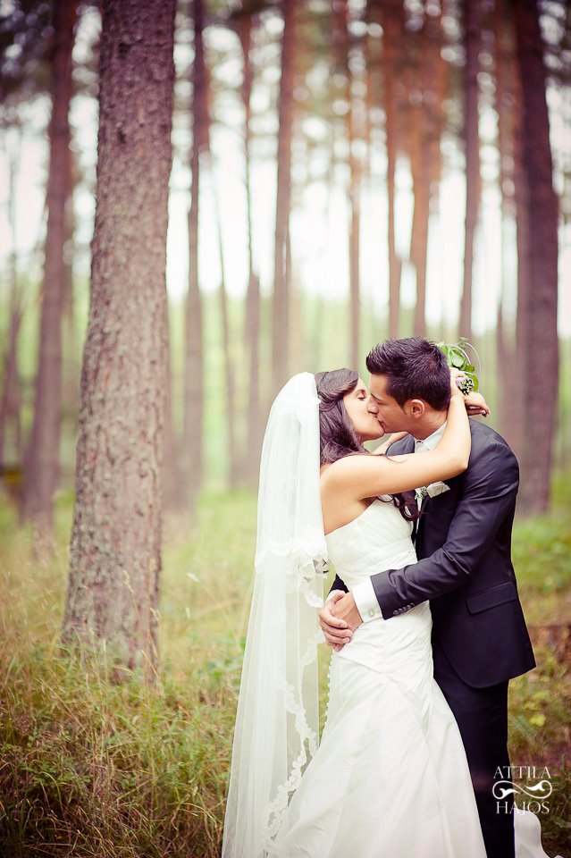Fotografie Attila Hajos din galeria Weddings