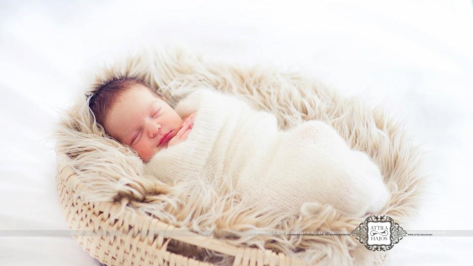 Fotografie Attila Hajos din galeria Baby / Family