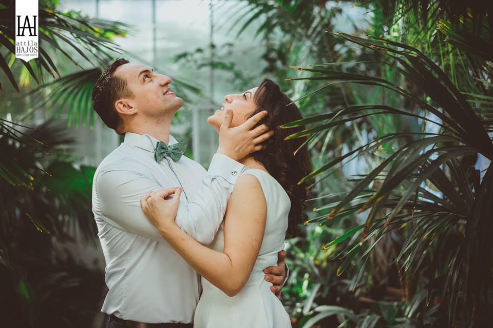 Fotografie Attila Hajos din galeria Love