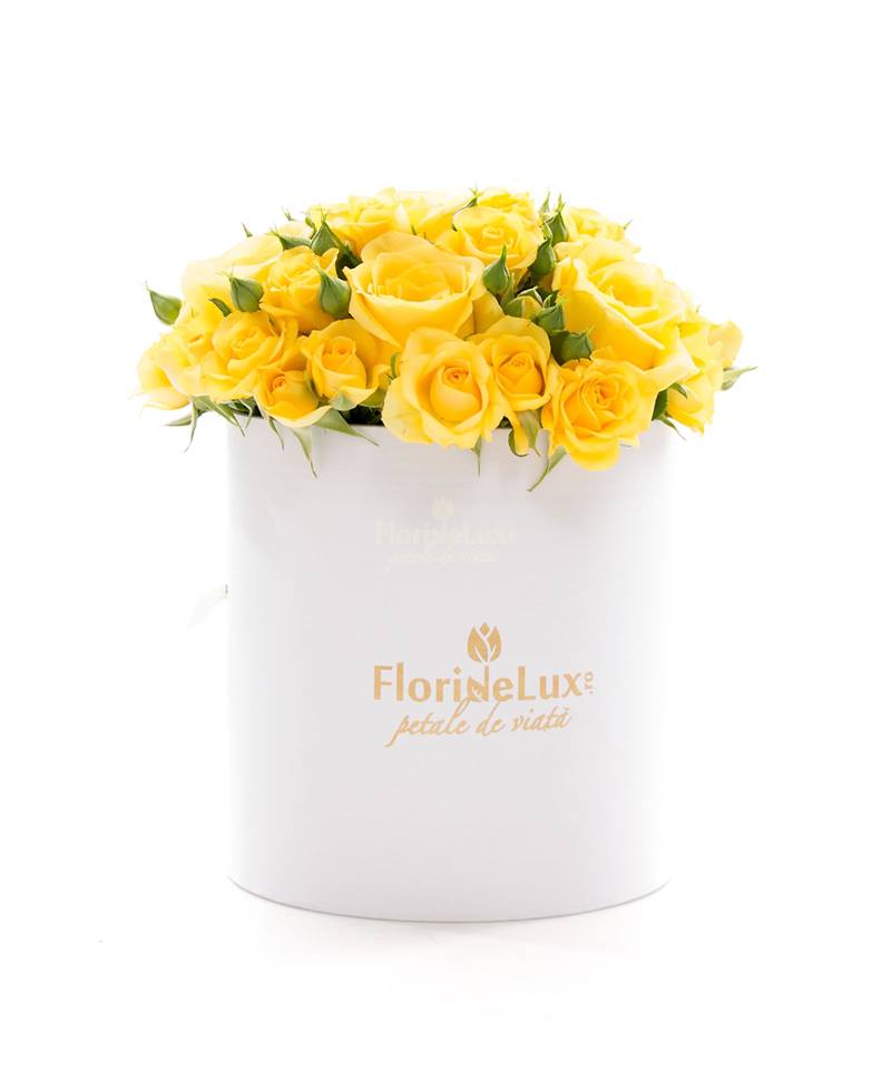 Fotografie Flori de lux din galeria Cutii cu flori