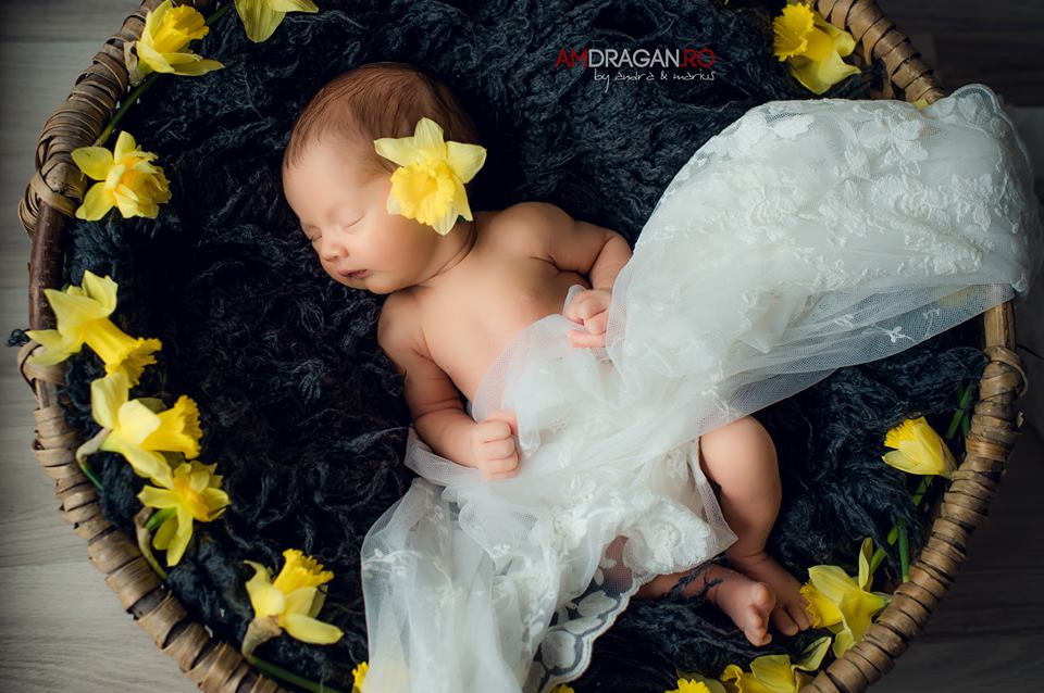 Fotografie AmDragan  din galeria Children