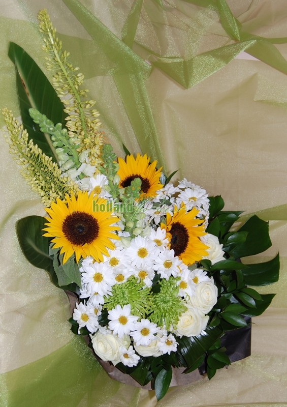 Fotografie Holland Flower Trading din galeria Buchete 