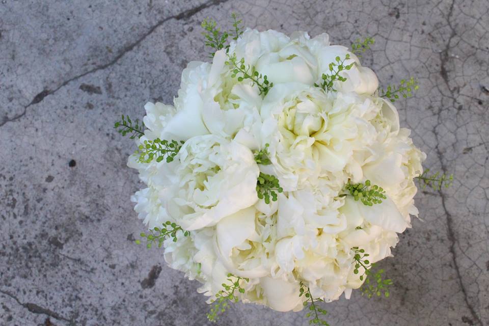 Fotografie Purple Flowers din galeria Bride love