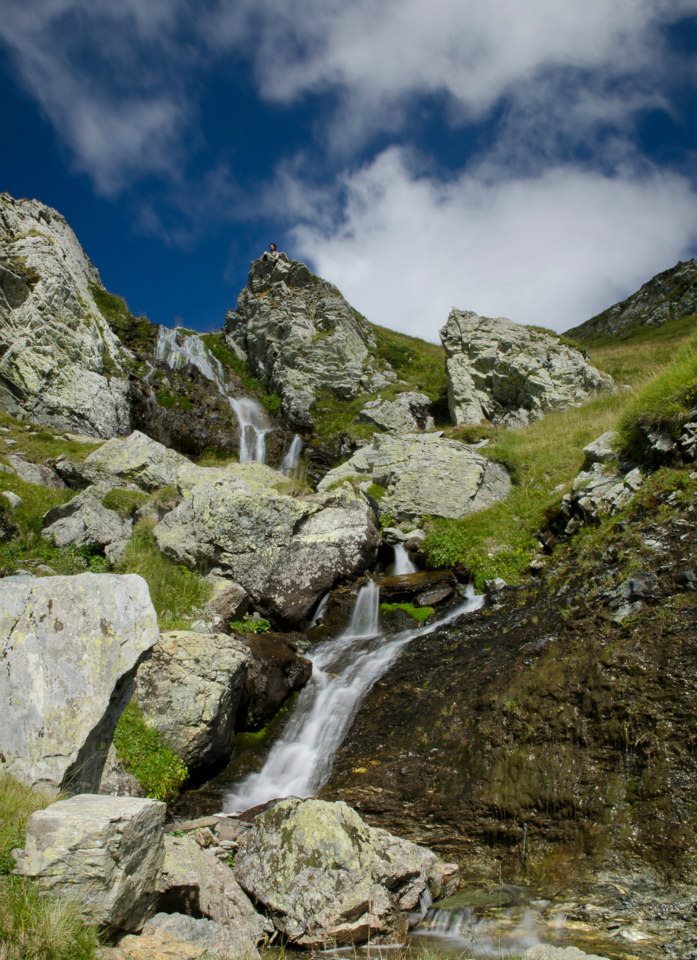 Photo of Fotosapiens from Nature gallery