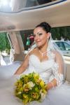 Darius Pleșa Weddings