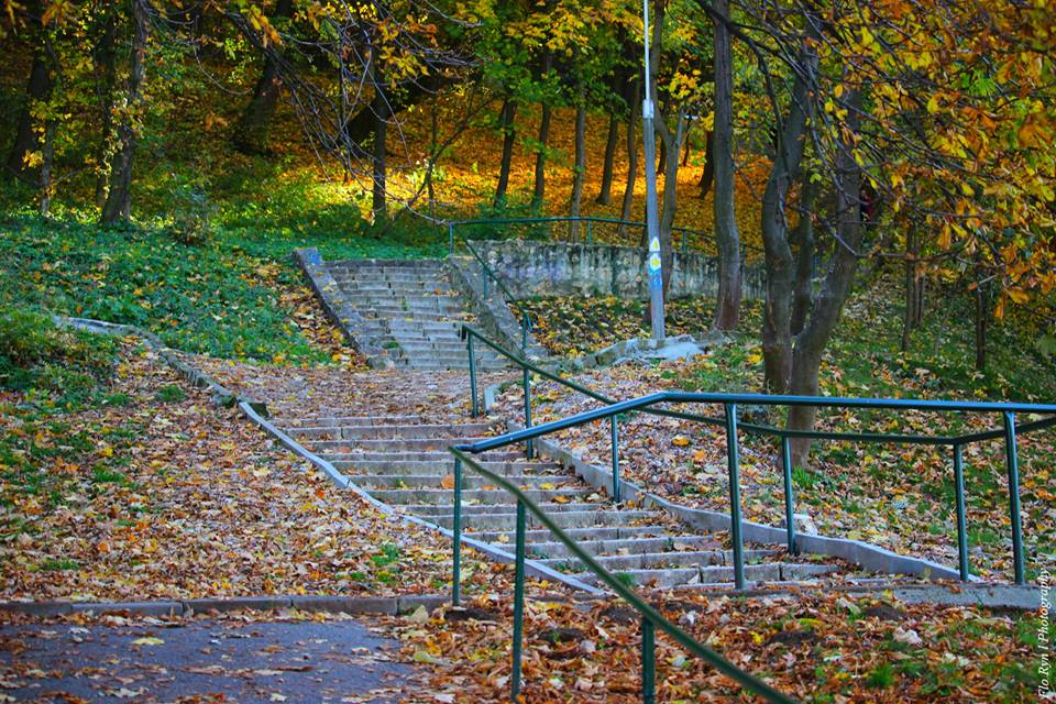 Fotografie Florin Photography din galeria Brașov-ul