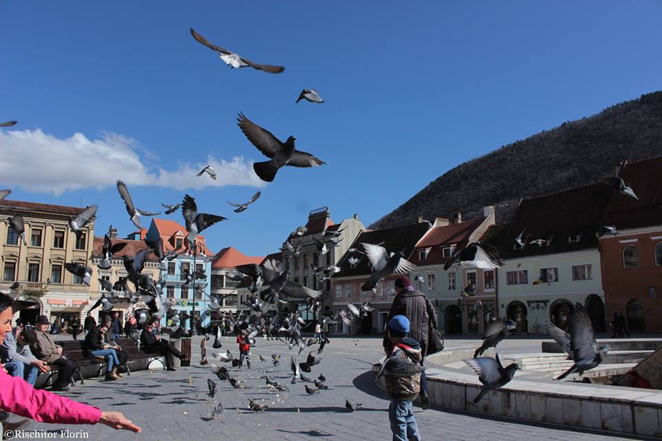 Fotografie Florin Photography din galeria Brașov-ul