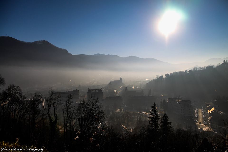 Fotografie Feroiu Alexandru din galeria Nature