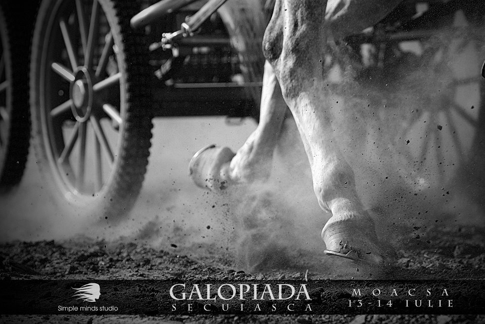 Fotografie HF Studio din galeria Diverse